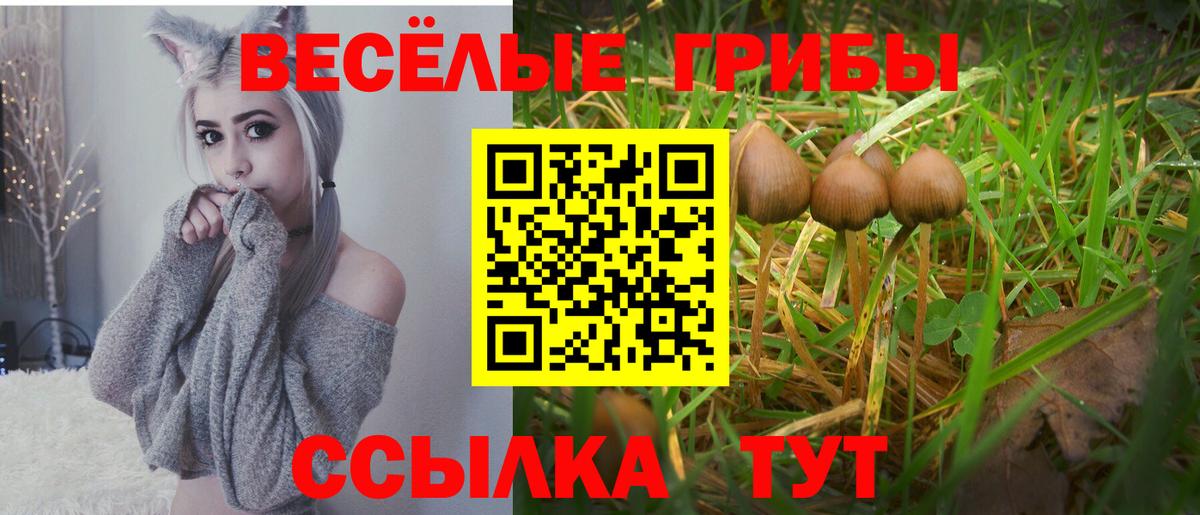 Галлюциногенные грибы прущие грибы  Вход с VPN  Холмск  Галлюциногенные грибы Cubensis 